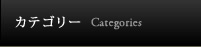 カテゴリー
